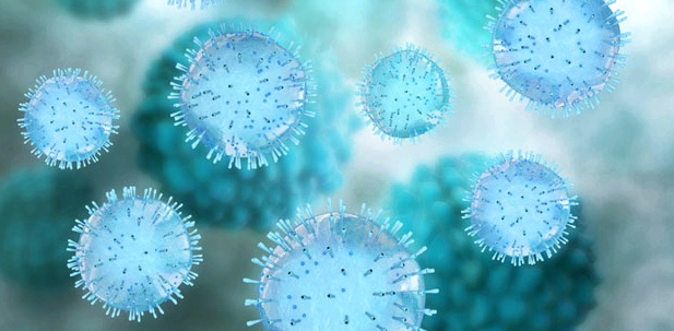 Influenzaviren sind die eigentlichen Grippe-Ursachen