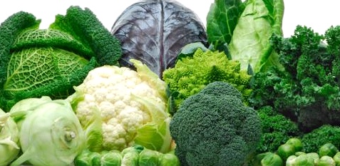 Broccoli schwächt Krebszellen