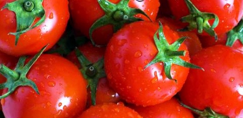 Tomaten senken das Prostata-Krebsrisiko