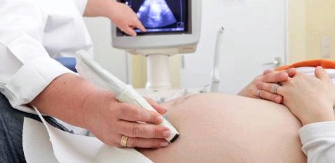 Regelmäßige Ultraschall-Untersuchungen gehören zur Vorsorge während der Schwangerschaft